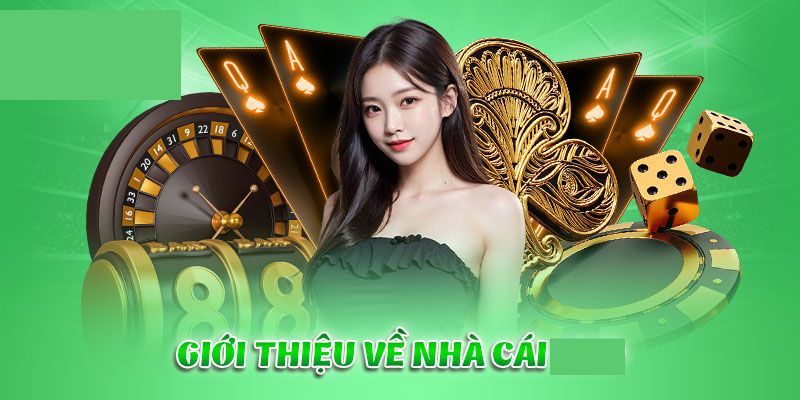 Những thông tin bạn cần biết về OK365