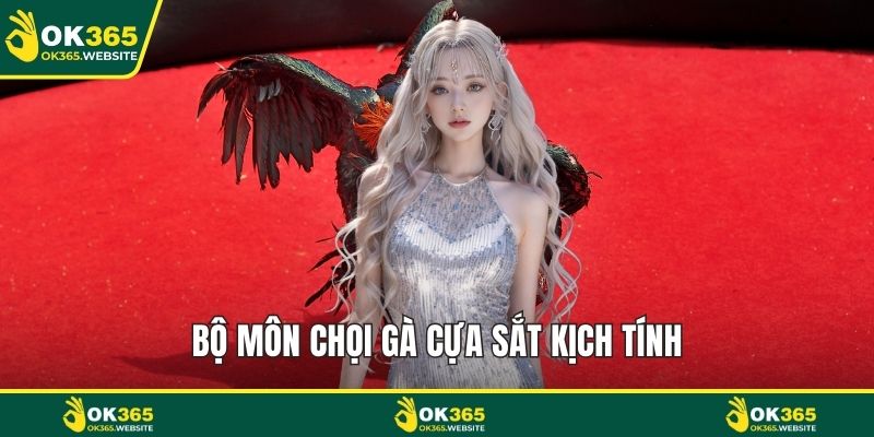 Bộ môn chọi gà cựa sắt kịch tính