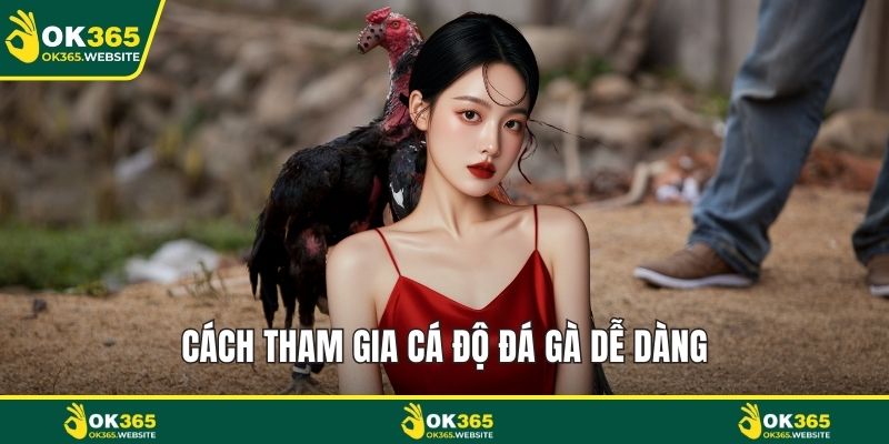 Cách tham gia cá độ đá gà dễ dàng