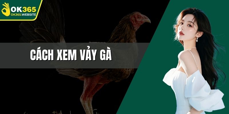 Cách xem vảy gà