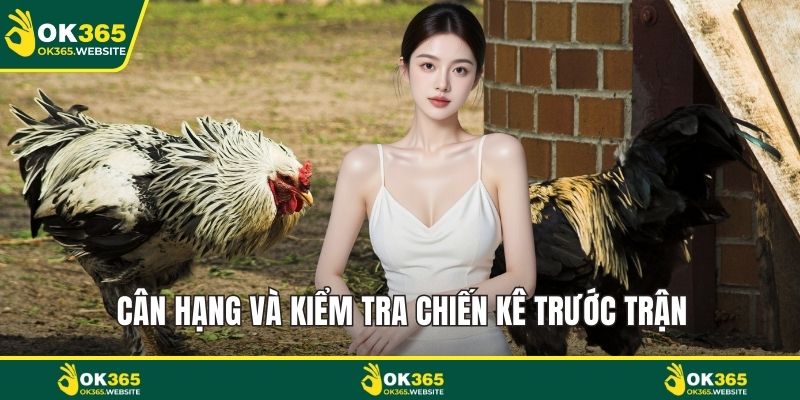 Cân hạng và kiểm tra chiến kê trước trận