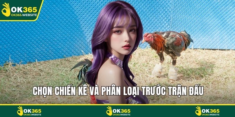 Chọn chiến kê và phân loại trước trận đấu