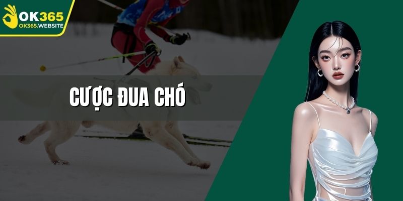 Cược đua chó