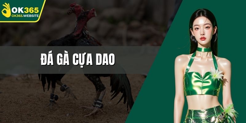đá gà cựa dao