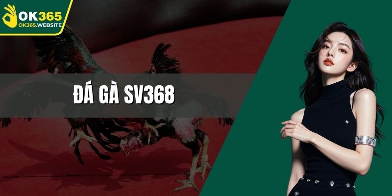 đá gà sv368