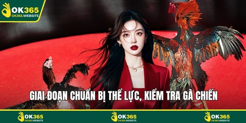 Giai đoạn chuẩn bị thể lực, kiểm tra gà chiến