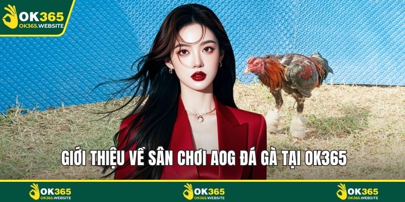 Giới thiệu về sân chơi AOG đá gà tại OK365