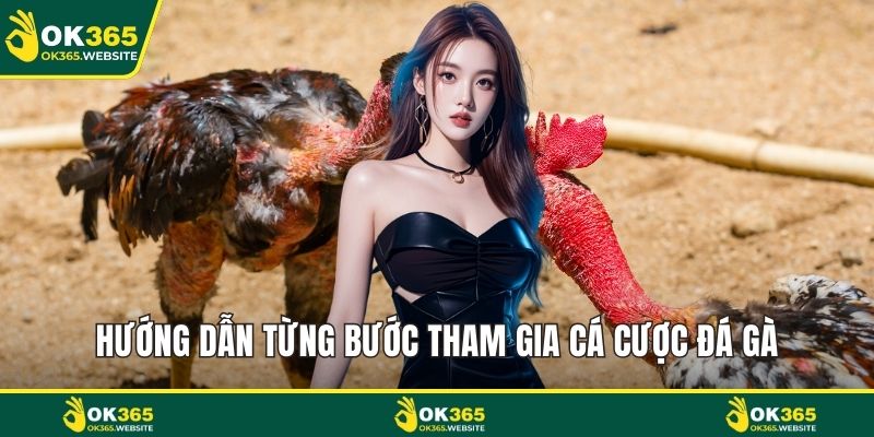 Hướng dẫn từng bước tham gia cá cược đá gà