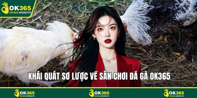 Khái quát sơ lược về sân chơi đá gà OK365