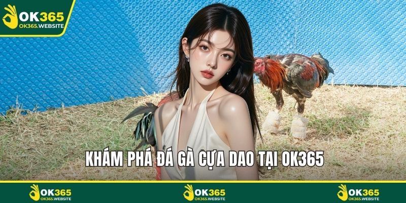 Khám phá đá gà cựa dao tại OK365