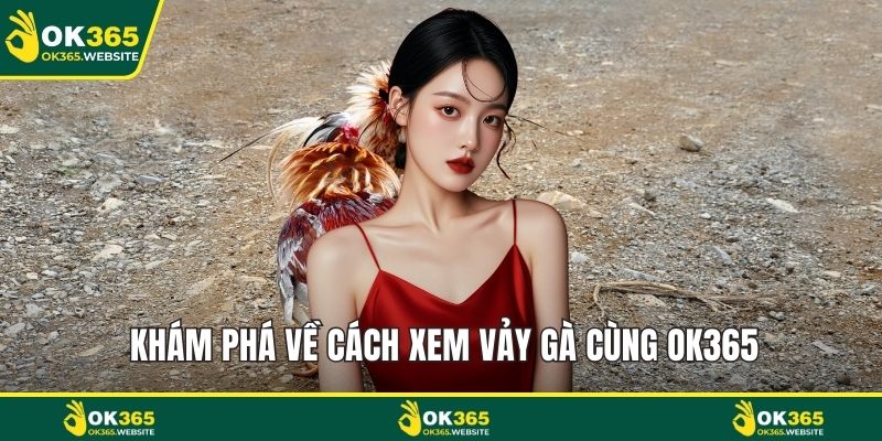 Khám phá về cách xem vảy gà cùng OK365