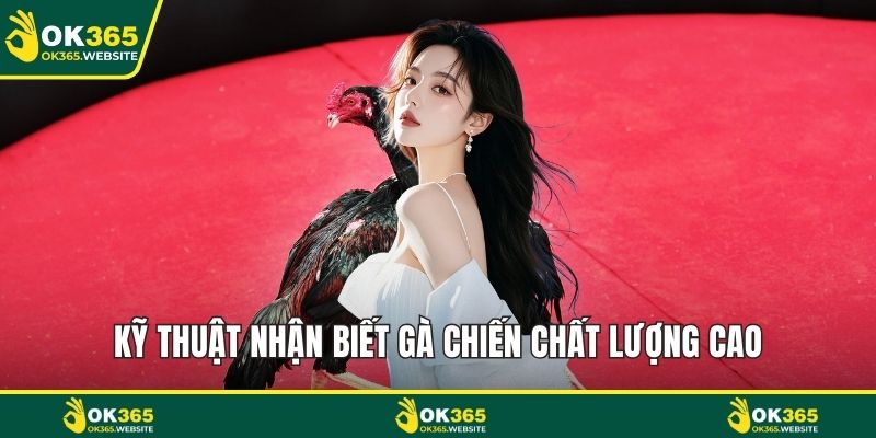 Kỹ thuật nhận biết gà chiến chất lượng cao