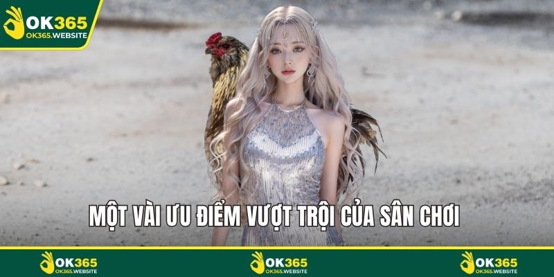 Một vài ưu điểm vượt trội của sân chơi