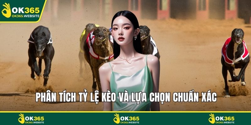 Phân tích tỷ lệ kèo và lựa chọn chuẩn xác