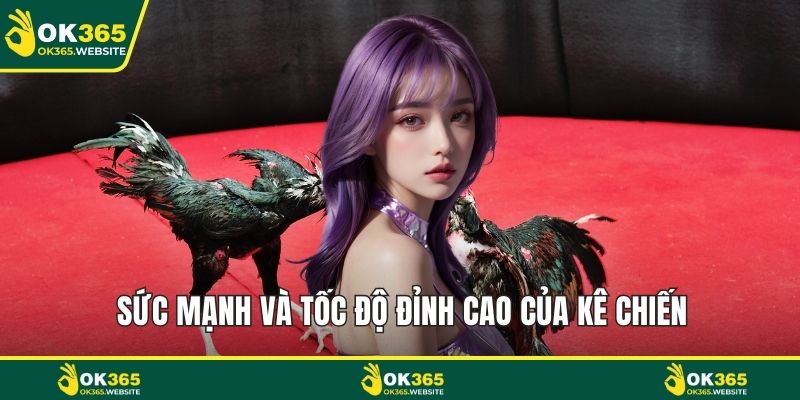 Sức mạnh và tốc độ đỉnh cao của kê chiến