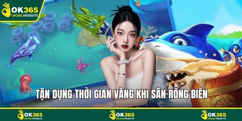 Tận dụng thời gian vàng khi săn rồng biển