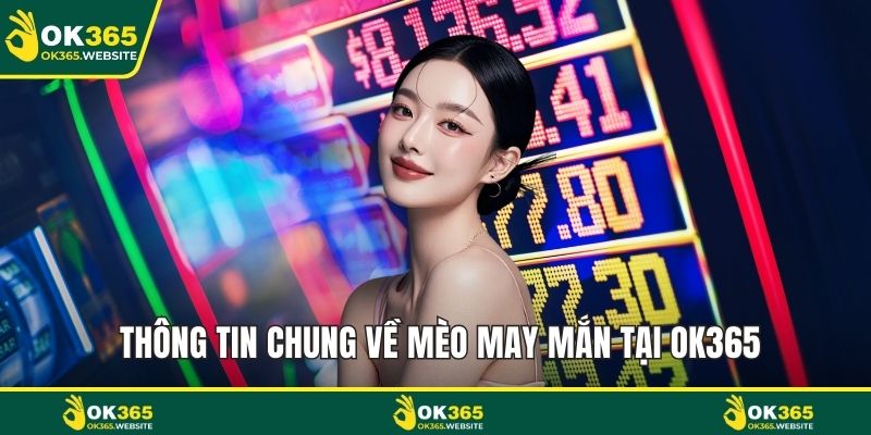 Thông tin chung về mèo may mắn tại OK365