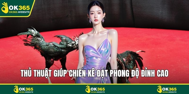 Thủ thuật giúp chiến kê đạt phong độ đỉnh cao