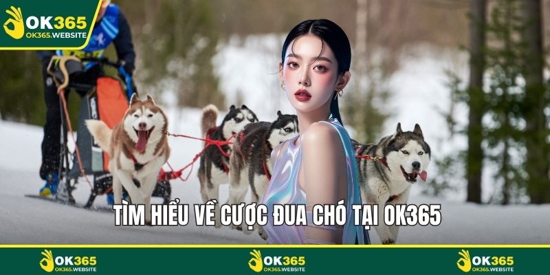 Tìm hiểu về cược đua chó tại OK365