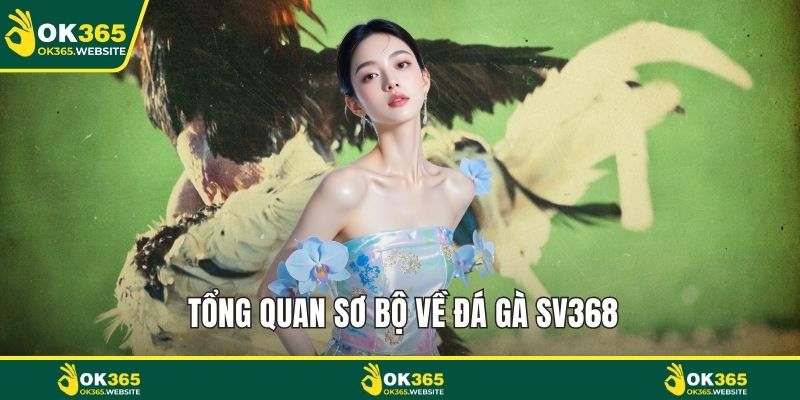Tổng quan sơ bộ về đá gà sv368