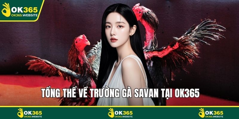 Tổng thể về trường gà Savan tại OK365