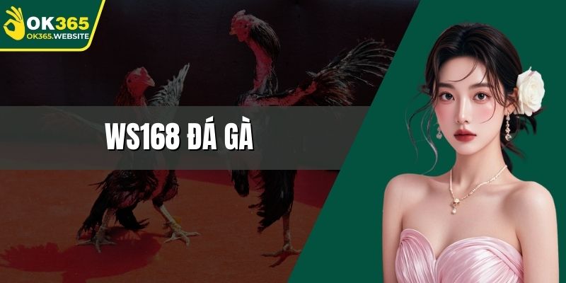 Ws168 đá gà